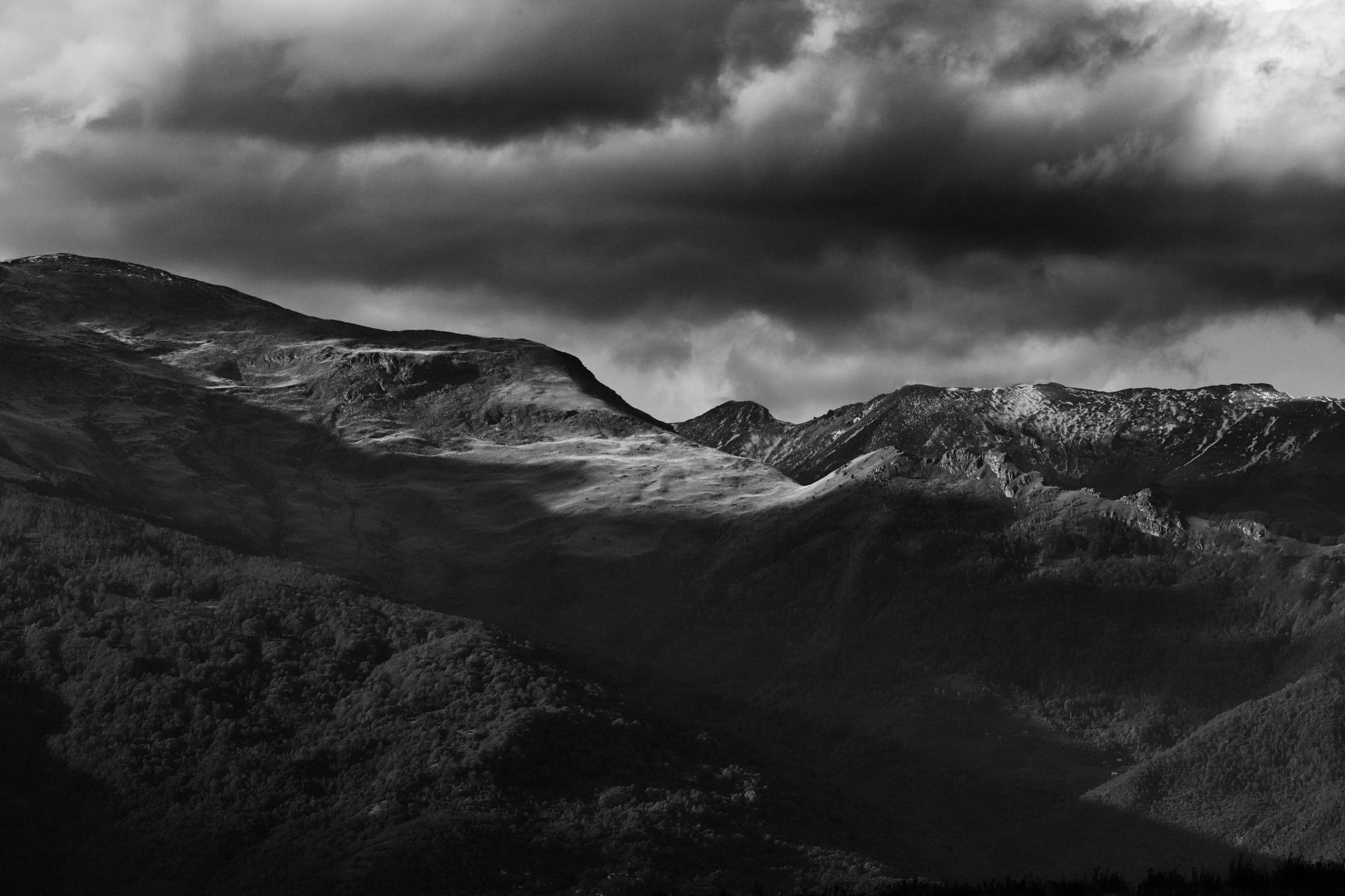 Alpine Pasture & Mist