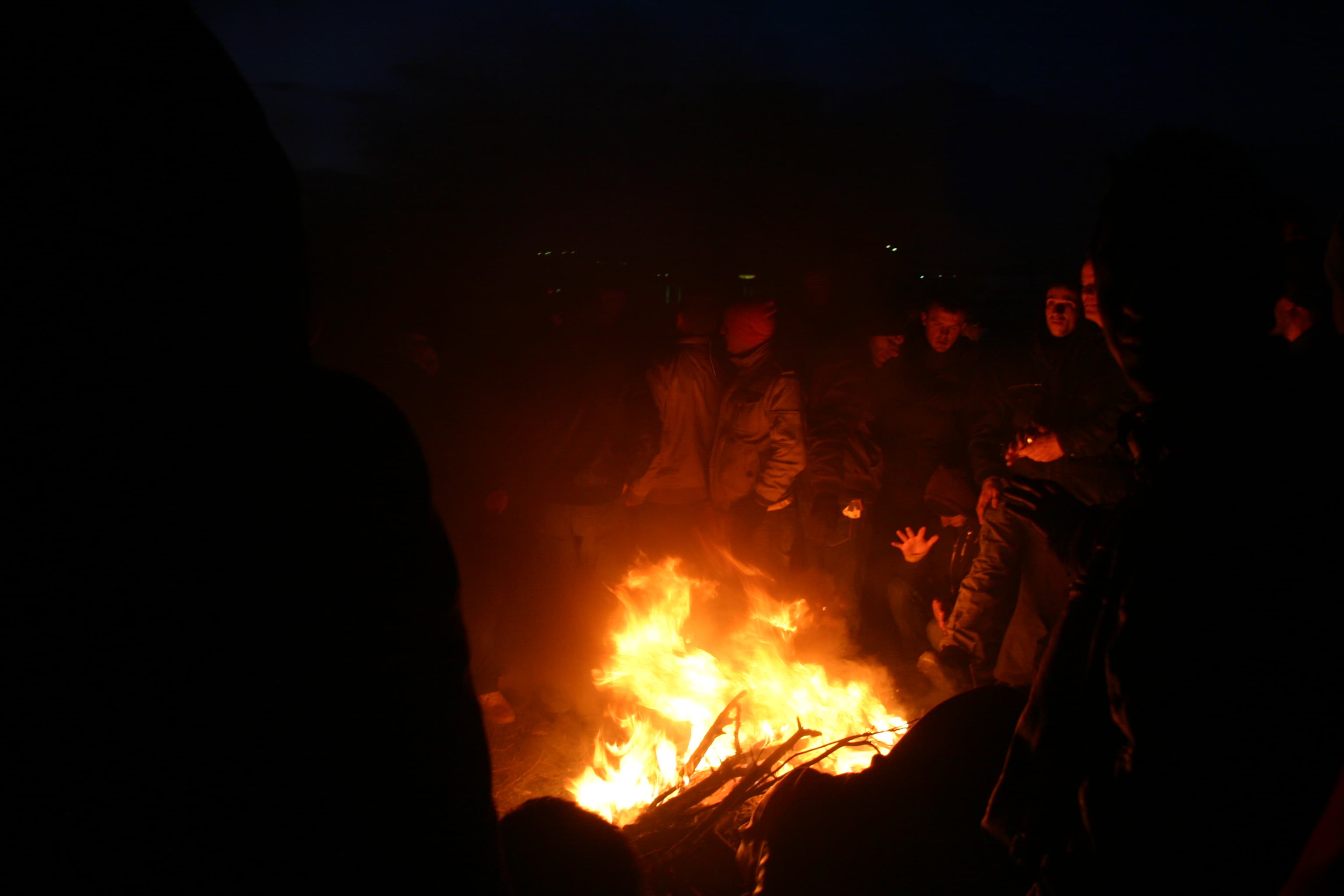 Nocturnal Gathering
